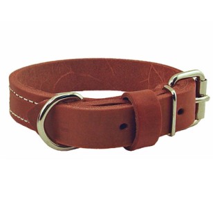 Dog Collar